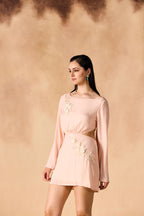 Floral Vine 3D Embroidered Short Dress