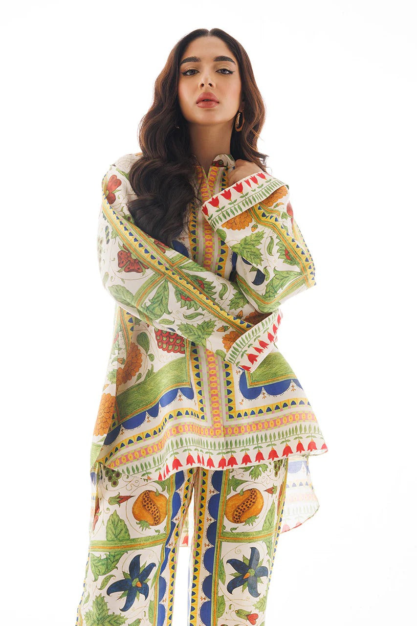 Aira Elegant Co-ord Set