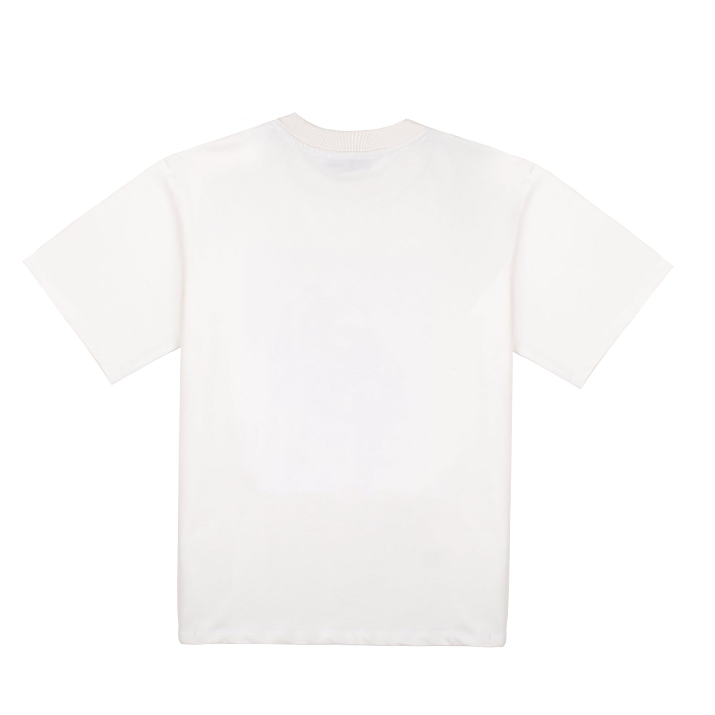 Back view of Stylera reconquer t-shirt for men in white cotton fabric for comfort