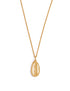 Stylera gold cowrie shell pendant necklace on delicate chain trendy gold accessories for women