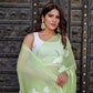 Elegant light green unique saree for wedding guest with floral designs and matching accessories